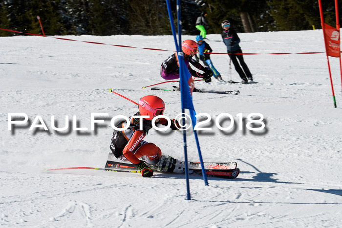 Ziener Cup WF, Finale, Quali + Parallelslalom, 24.03.2018