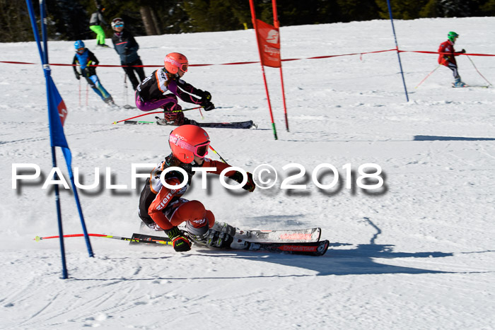 Ziener Cup WF, Finale, Quali + Parallelslalom, 24.03.2018