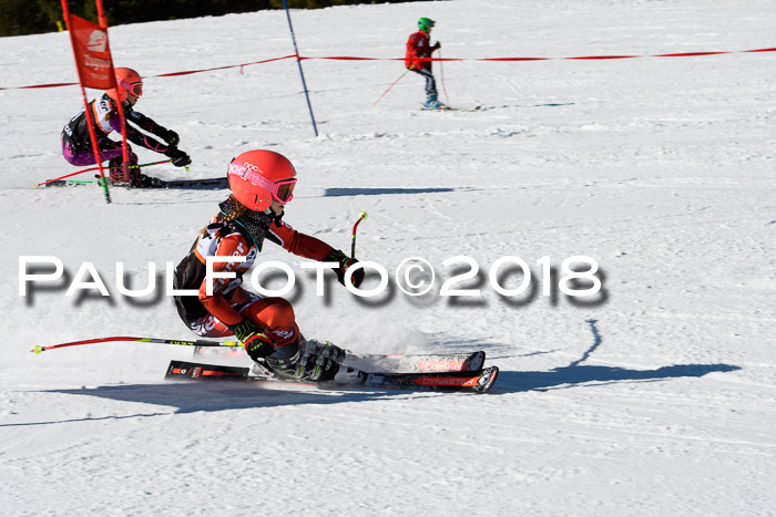 Ziener Cup WF, Finale, Quali + Parallelslalom, 24.03.2018