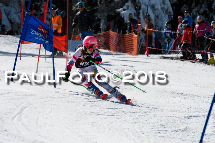 Ziener Cup WF, Finale, Quali + Parallelslalom, 24.03.2018
