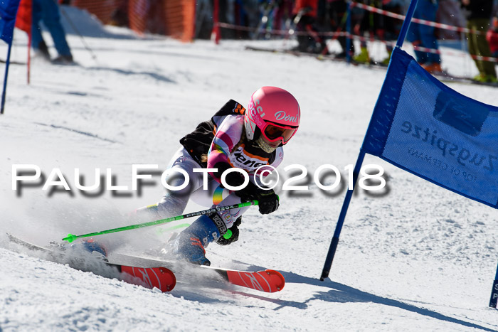 Ziener Cup WF, Finale, Quali + Parallelslalom, 24.03.2018
