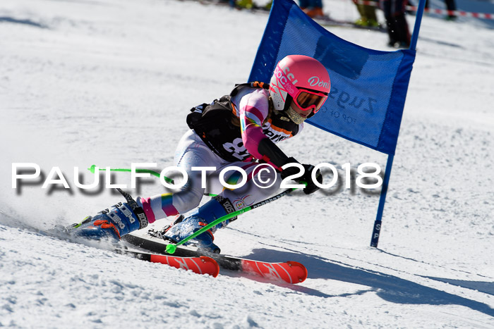 Ziener Cup WF, Finale, Quali + Parallelslalom, 24.03.2018
