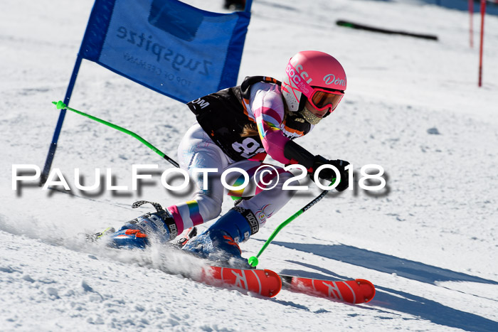 Ziener Cup WF, Finale, Quali + Parallelslalom, 24.03.2018