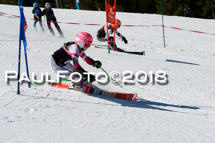 Ziener Cup WF, Finale, Quali + Parallelslalom, 24.03.2018