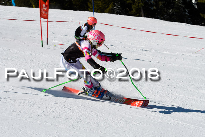 Ziener Cup WF, Finale, Quali + Parallelslalom, 24.03.2018