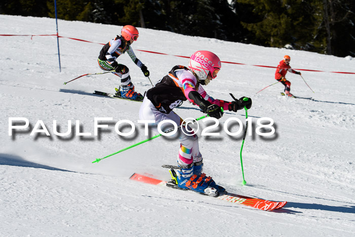 Ziener Cup WF, Finale, Quali + Parallelslalom, 24.03.2018