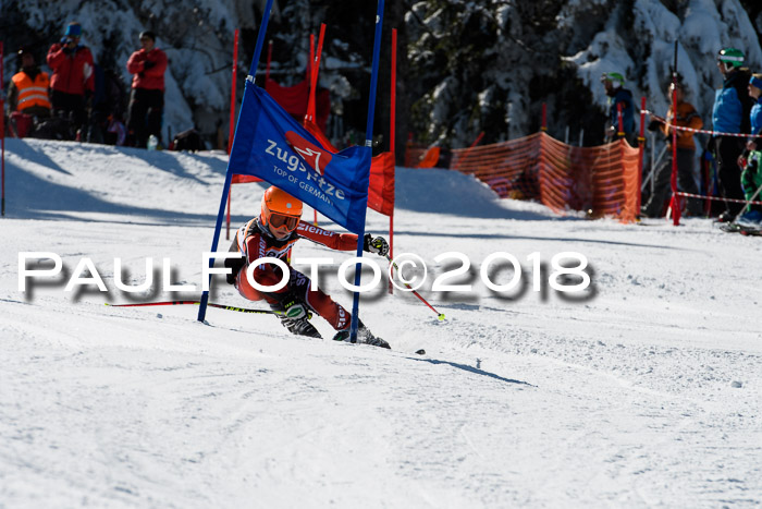 Ziener Cup WF, Finale, Quali + Parallelslalom, 24.03.2018