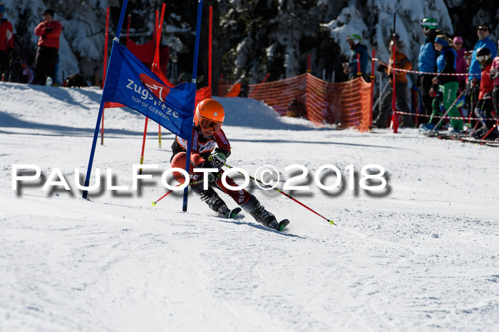 Ziener Cup WF, Finale, Quali + Parallelslalom, 24.03.2018