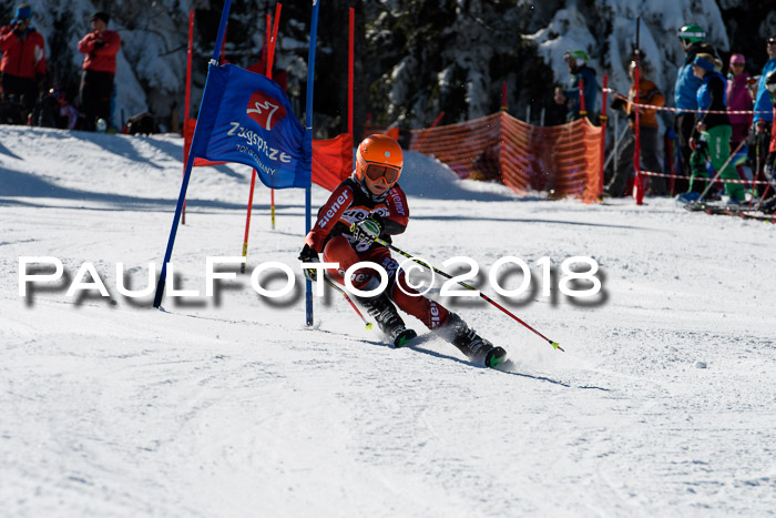 Ziener Cup WF, Finale, Quali + Parallelslalom, 24.03.2018