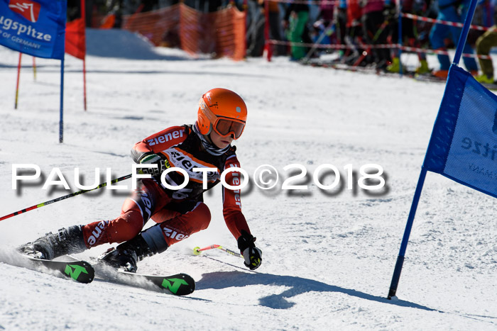 Ziener Cup WF, Finale, Quali + Parallelslalom, 24.03.2018