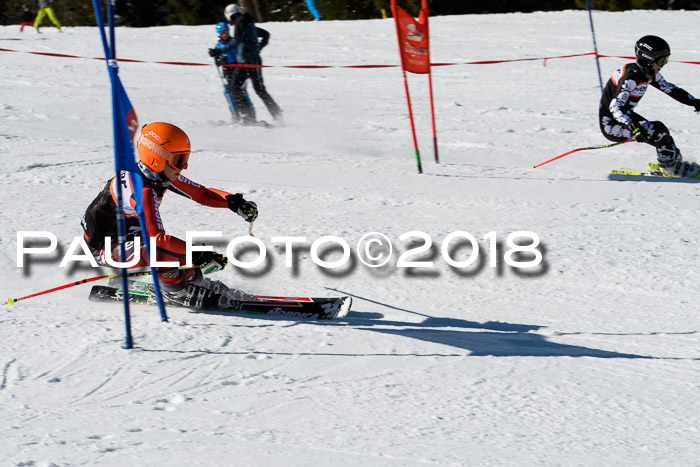 Ziener Cup WF, Finale, Quali + Parallelslalom, 24.03.2018