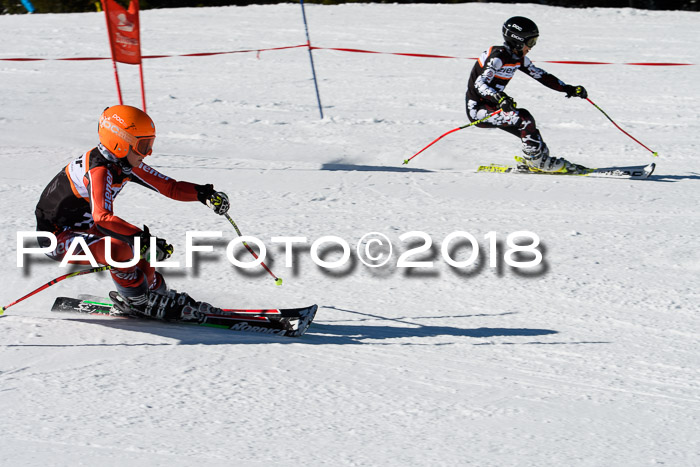 Ziener Cup WF, Finale, Quali + Parallelslalom, 24.03.2018