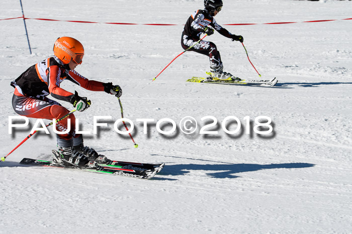Ziener Cup WF, Finale, Quali + Parallelslalom, 24.03.2018