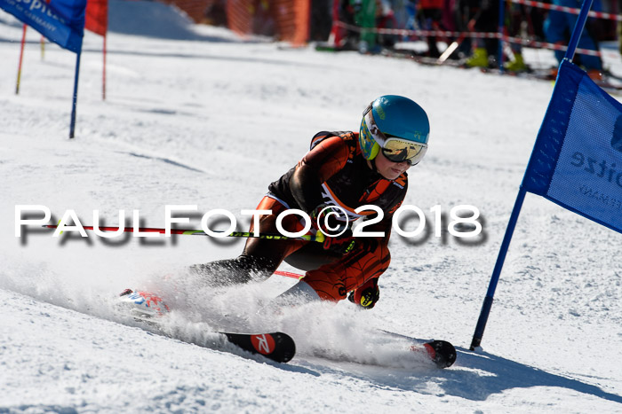 Ziener Cup WF, Finale, Quali + Parallelslalom, 24.03.2018