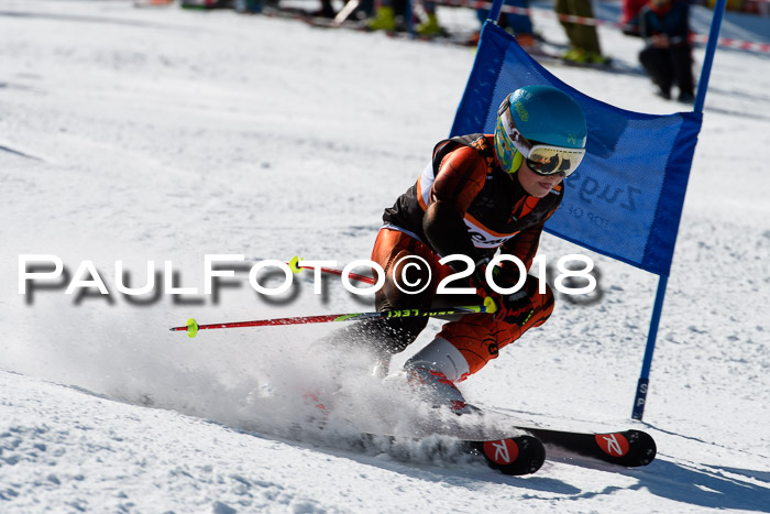 Ziener Cup WF, Finale, Quali + Parallelslalom, 24.03.2018