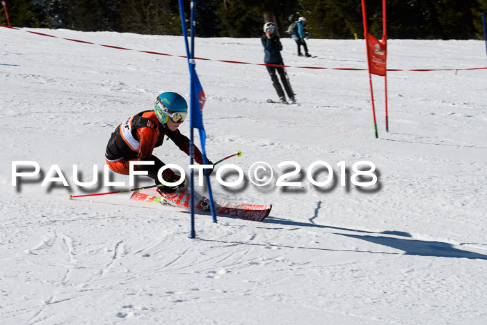 Ziener Cup WF, Finale, Quali + Parallelslalom, 24.03.2018