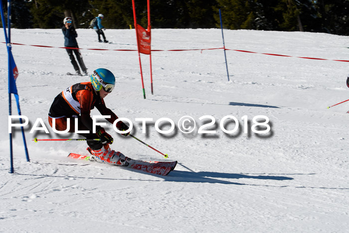 Ziener Cup WF, Finale, Quali + Parallelslalom, 24.03.2018