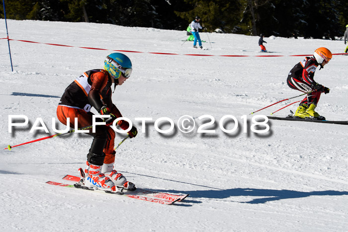 Ziener Cup WF, Finale, Quali + Parallelslalom, 24.03.2018
