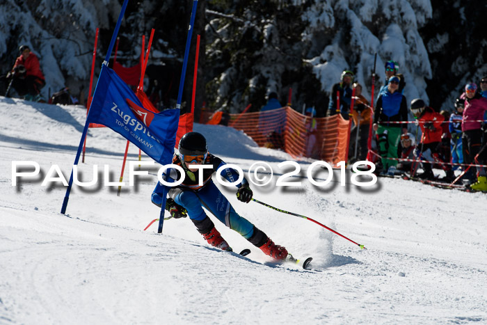 Ziener Cup WF, Finale, Quali + Parallelslalom, 24.03.2018