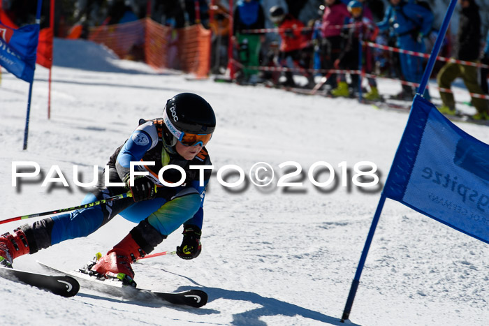Ziener Cup WF, Finale, Quali + Parallelslalom, 24.03.2018