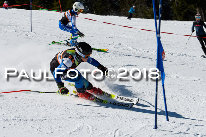 Ziener Cup WF, Finale, Quali + Parallelslalom, 24.03.2018