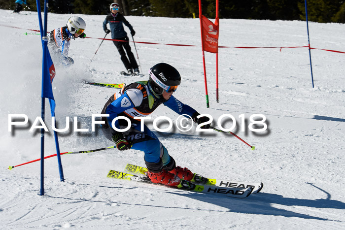 Ziener Cup WF, Finale, Quali + Parallelslalom, 24.03.2018