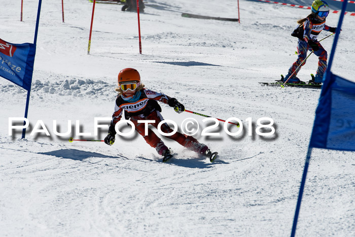 Ziener Cup WF, Finale, Quali + Parallelslalom, 24.03.2018