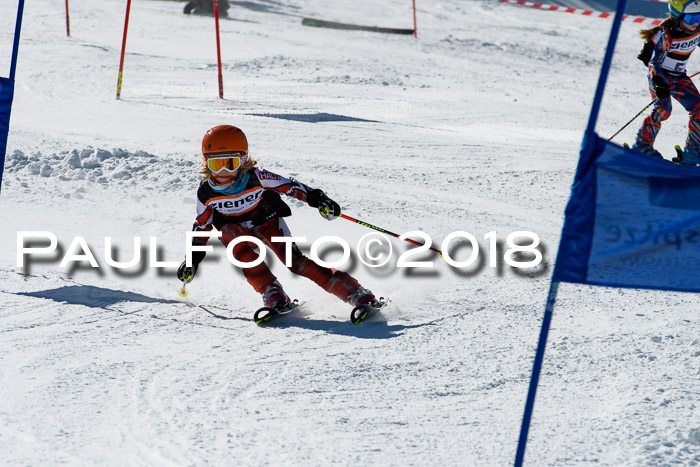 Ziener Cup WF, Finale, Quali + Parallelslalom, 24.03.2018