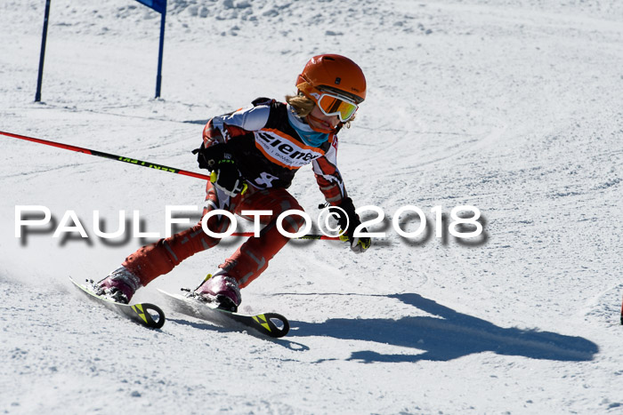 Ziener Cup WF, Finale, Quali + Parallelslalom, 24.03.2018
