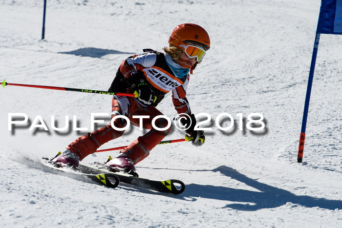 Ziener Cup WF, Finale, Quali + Parallelslalom, 24.03.2018