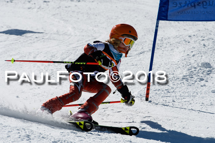 Ziener Cup WF, Finale, Quali + Parallelslalom, 24.03.2018