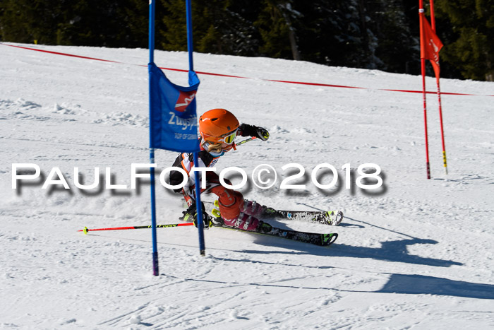 Ziener Cup WF, Finale, Quali + Parallelslalom, 24.03.2018