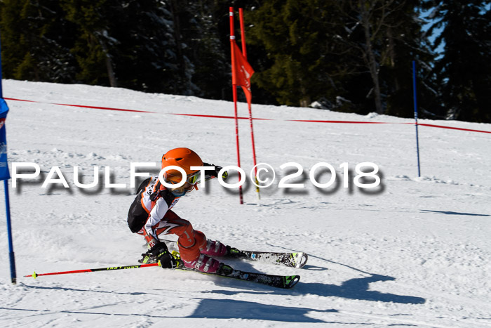 Ziener Cup WF, Finale, Quali + Parallelslalom, 24.03.2018