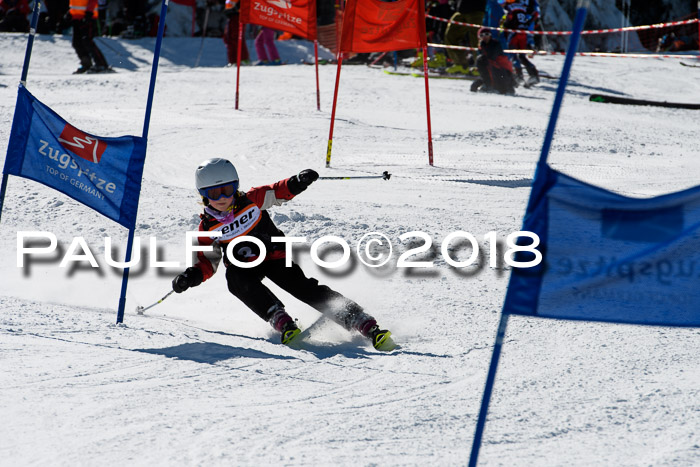 Ziener Cup WF, Finale, Quali + Parallelslalom, 24.03.2018