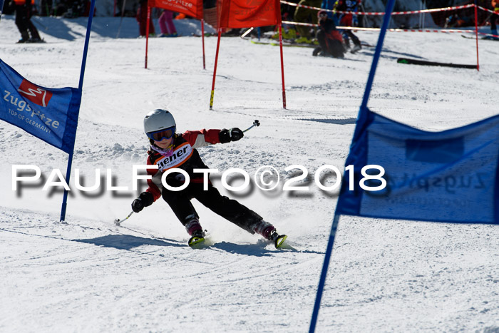 Ziener Cup WF, Finale, Quali + Parallelslalom, 24.03.2018