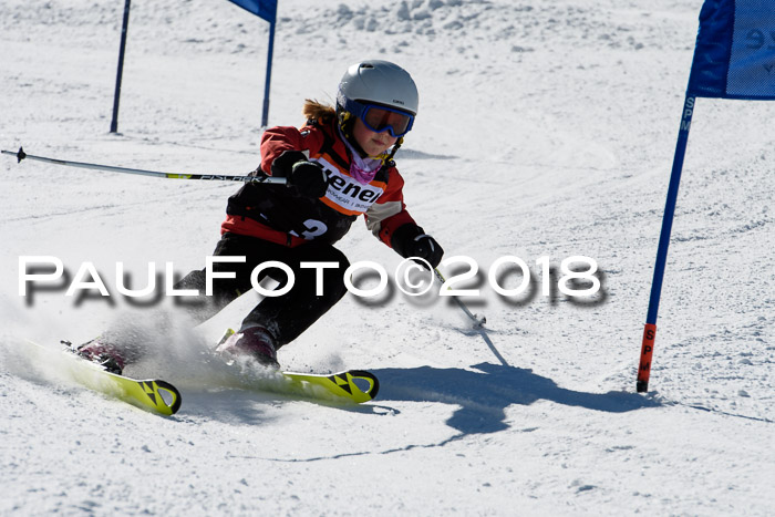Ziener Cup WF, Finale, Quali + Parallelslalom, 24.03.2018