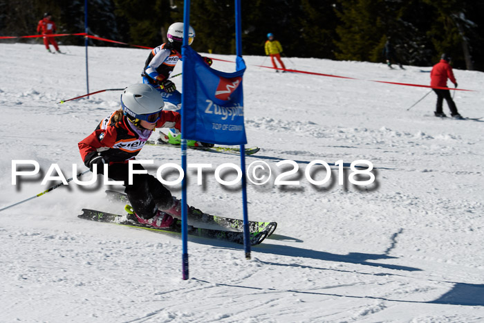 Ziener Cup WF, Finale, Quali + Parallelslalom, 24.03.2018