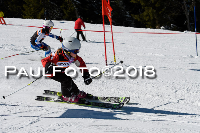 Ziener Cup WF, Finale, Quali + Parallelslalom, 24.03.2018