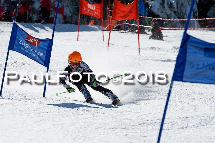 Ziener Cup WF, Finale, Quali + Parallelslalom, 24.03.2018