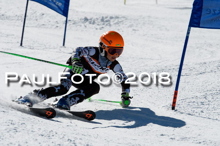 Ziener Cup WF, Finale, Quali + Parallelslalom, 24.03.2018