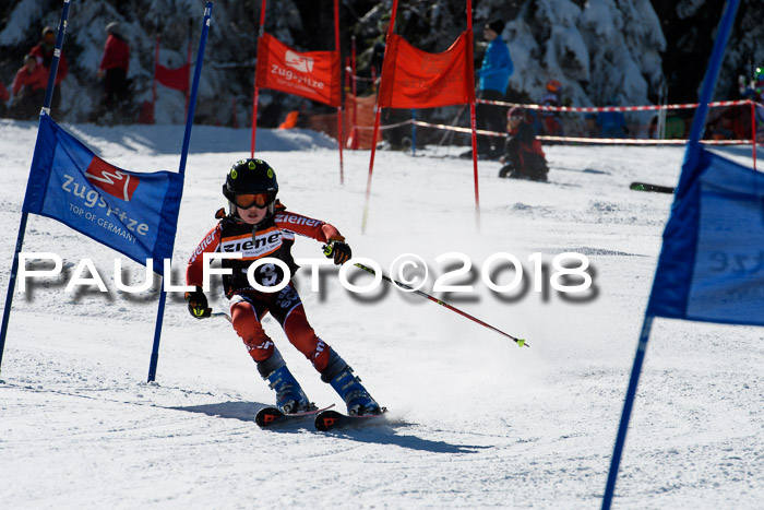 Ziener Cup WF, Finale, Quali + Parallelslalom, 24.03.2018