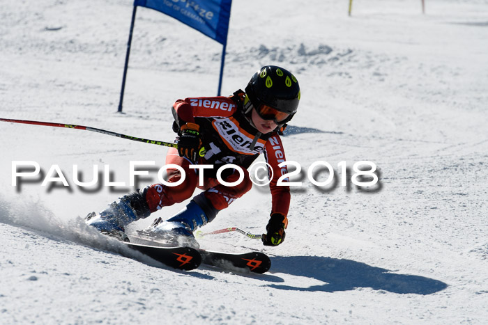 Ziener Cup WF, Finale, Quali + Parallelslalom, 24.03.2018