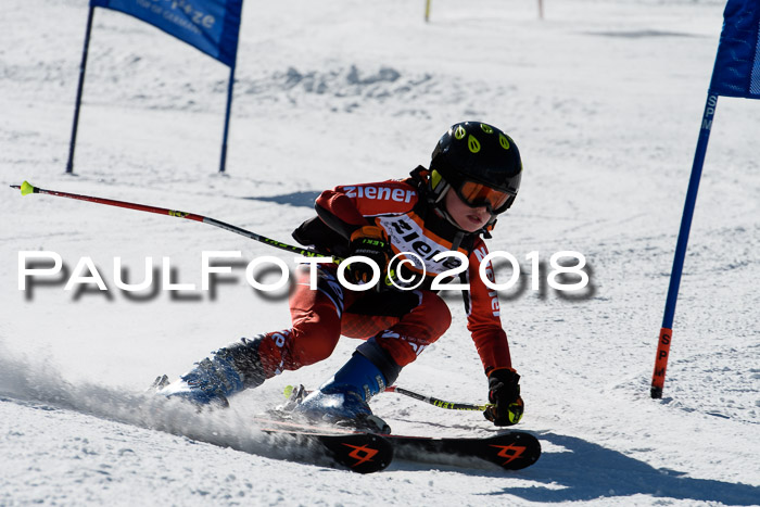 Ziener Cup WF, Finale, Quali + Parallelslalom, 24.03.2018