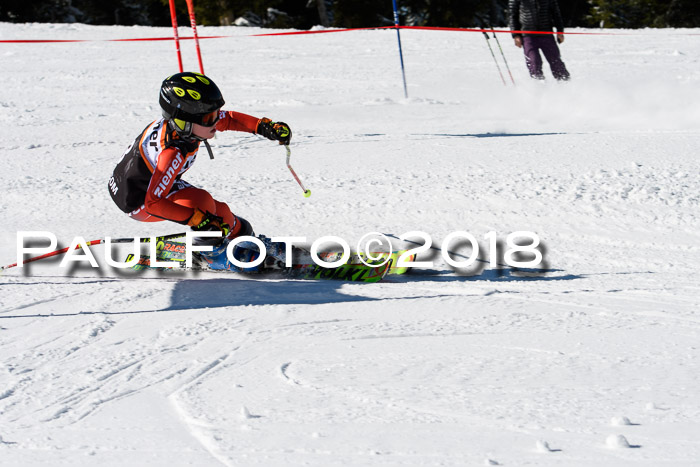 Ziener Cup WF, Finale, Quali + Parallelslalom, 24.03.2018