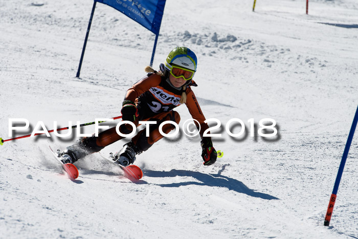 Ziener Cup WF, Finale, Quali + Parallelslalom, 24.03.2018