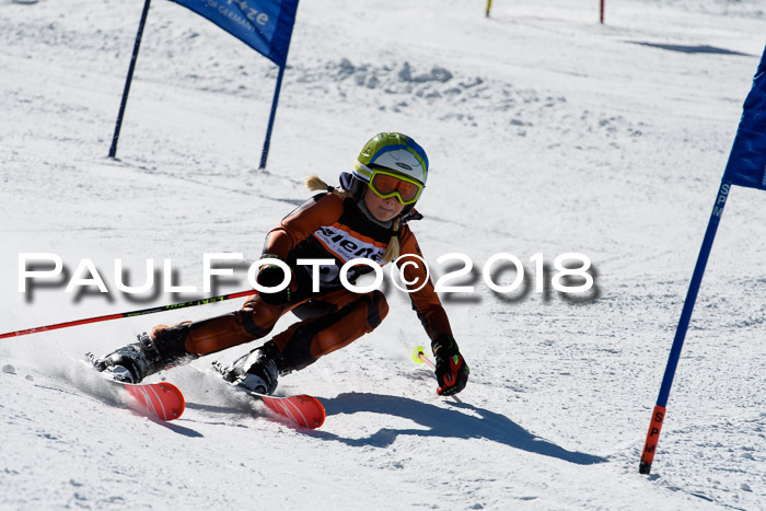 Ziener Cup WF, Finale, Quali + Parallelslalom, 24.03.2018