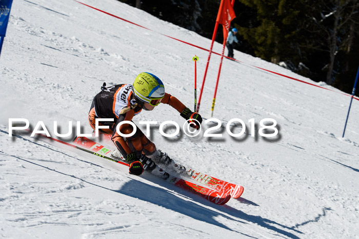 Ziener Cup WF, Finale, Quali + Parallelslalom, 24.03.2018