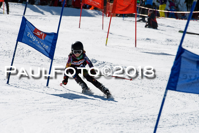 Ziener Cup WF, Finale, Quali + Parallelslalom, 24.03.2018