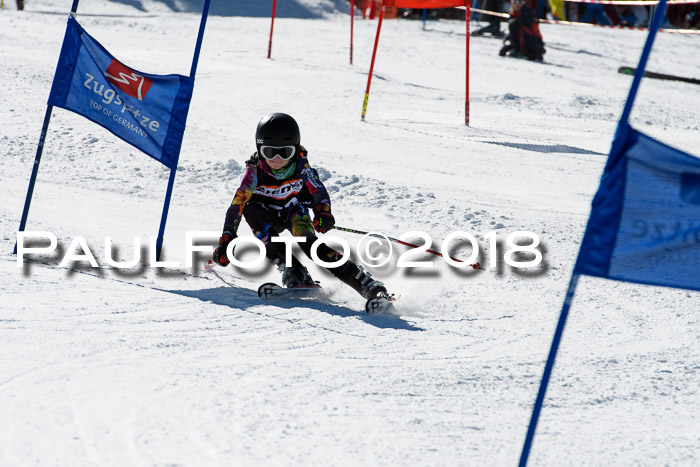 Ziener Cup WF, Finale, Quali + Parallelslalom, 24.03.2018