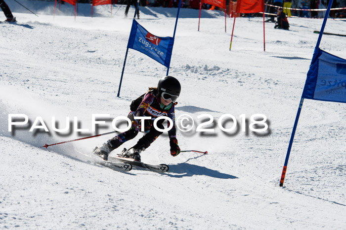 Ziener Cup WF, Finale, Quali + Parallelslalom, 24.03.2018